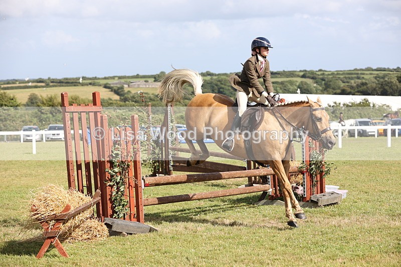 JPP_2709 - Class 20: Working Hunter 70cm