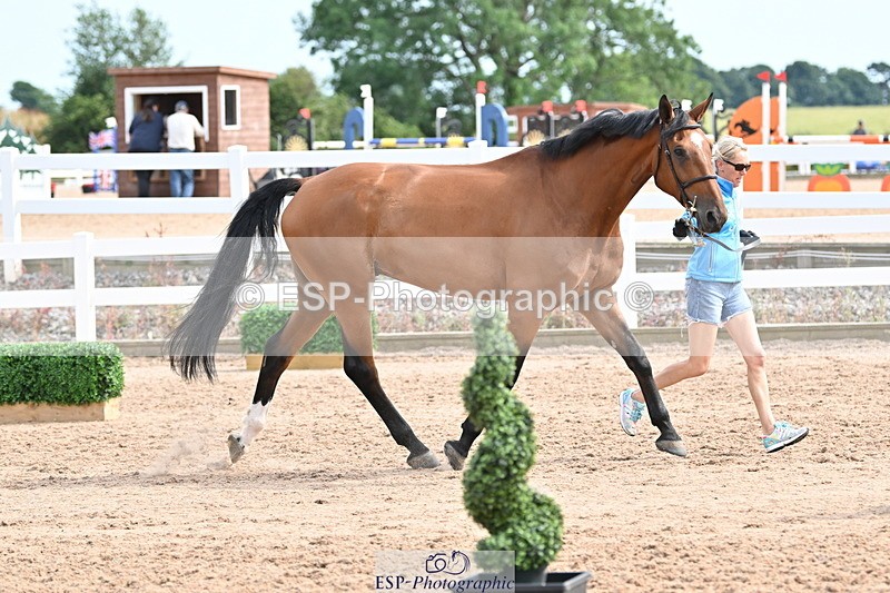 240717A-163726-03456 - Trot Up 4pm to 5pm