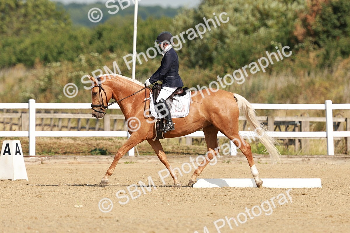 SBM_021091 - Class 12 - P6