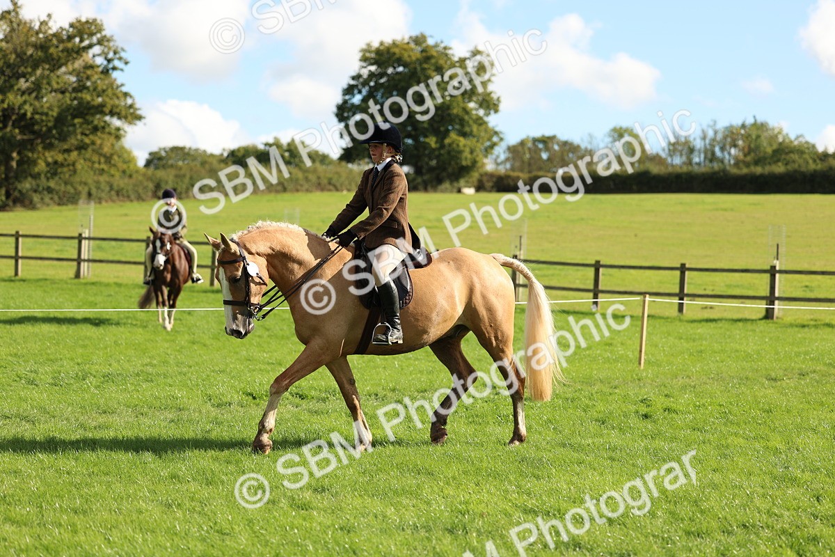 SBM_50079 - S34 - Novice & Newcomers Working Hunter