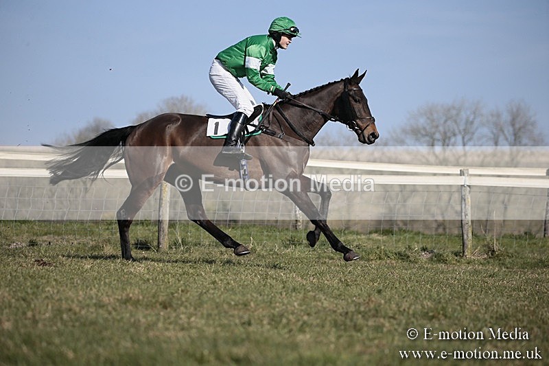 PtP 240218 202 - Vine & Craven Hunt Point-to-Point Barbury racecourse 24/02/18