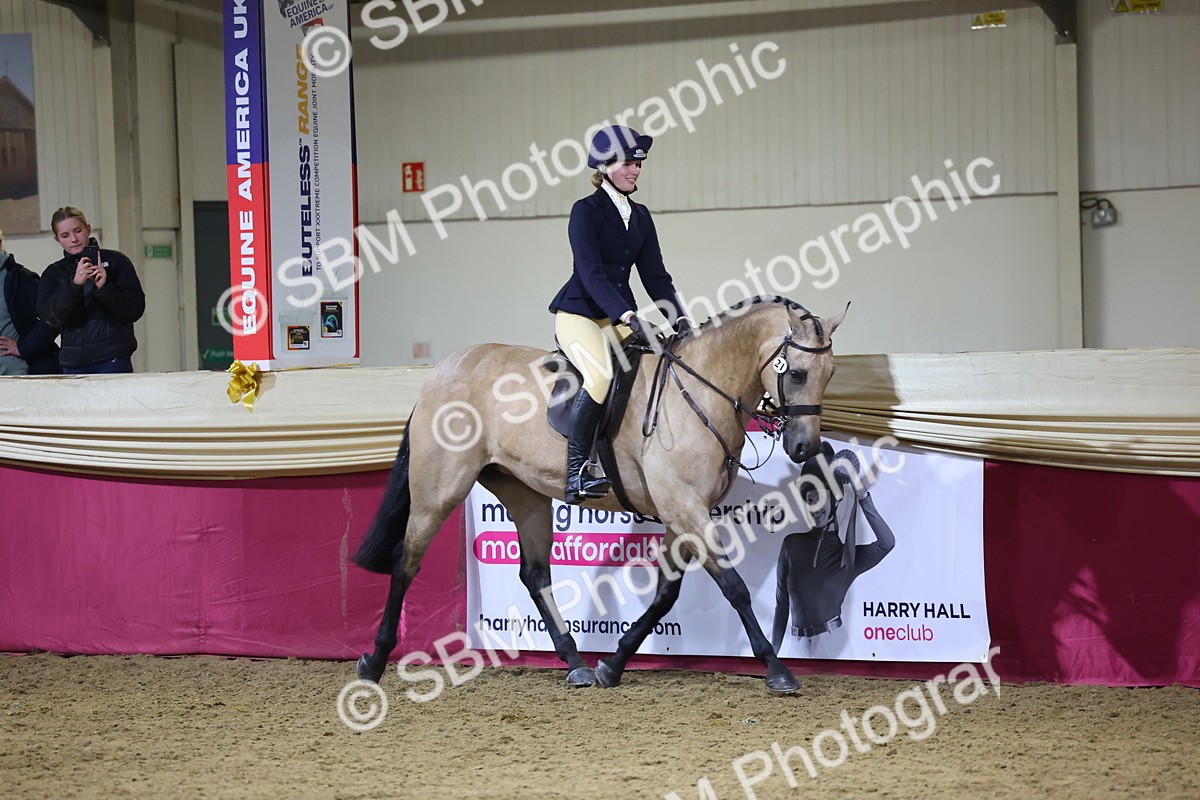 0B8A4569 - Class Q Style & Performance Champ