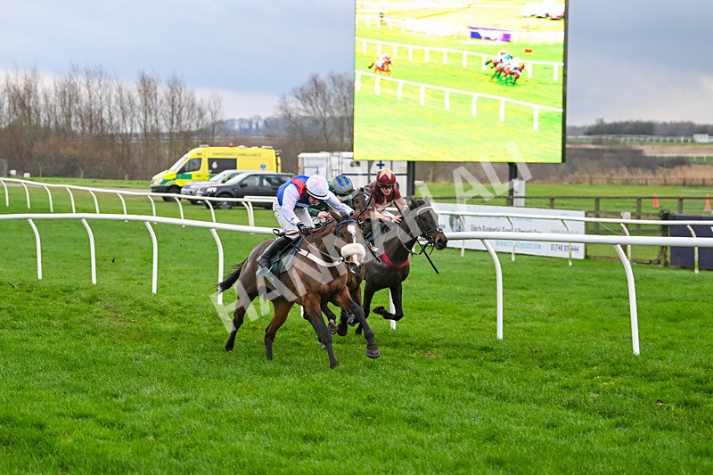 171224-Race 5-Wrappedinrubies-3438 - Race 5