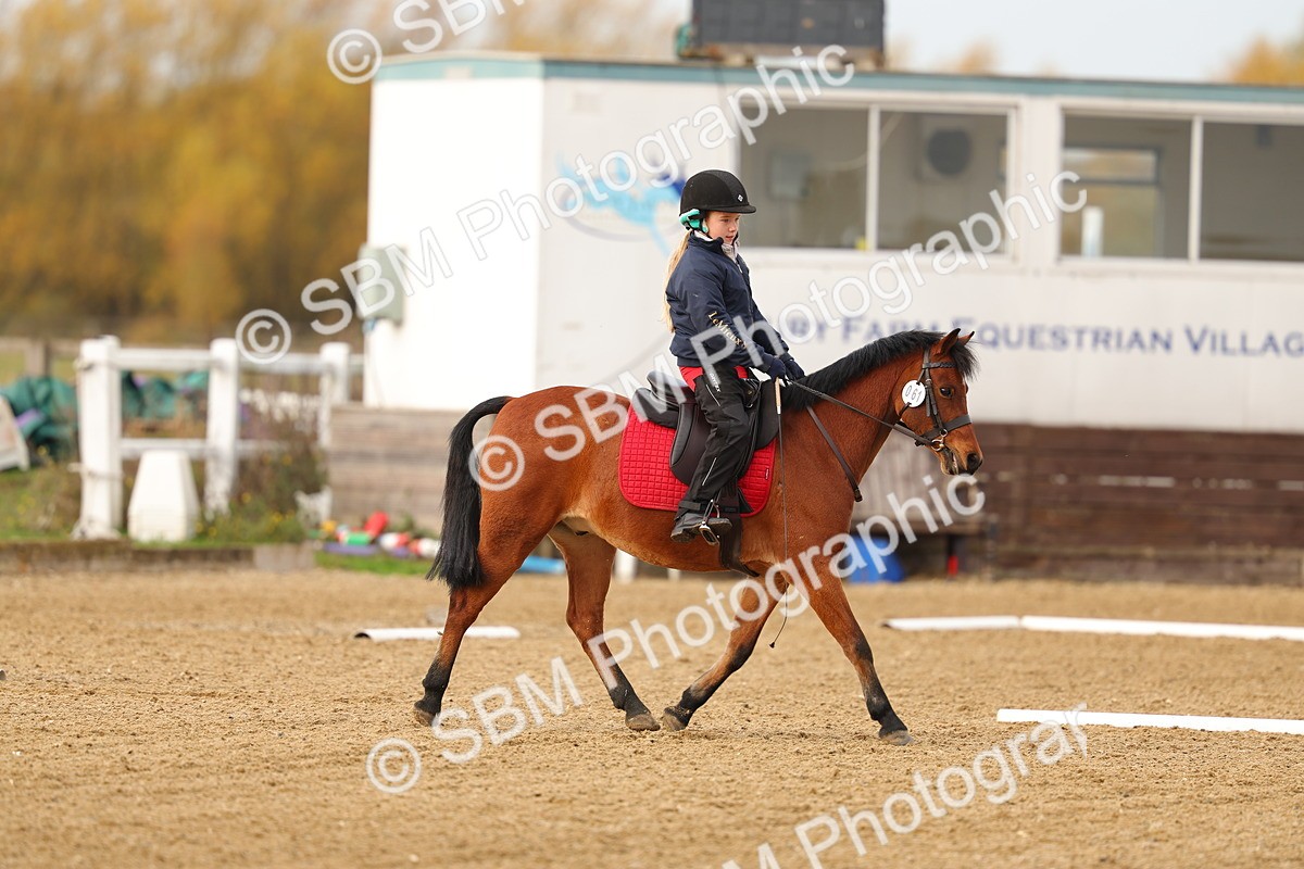 SBM_000245 - Class 2-11 - CT Intro 3 60cm - DR Intro 3