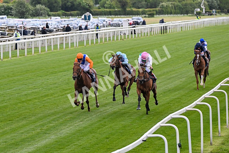 130526-Race 5-Legacy Link-0286 - Race 5 4.05pm Tattersalls Musidora Stakes