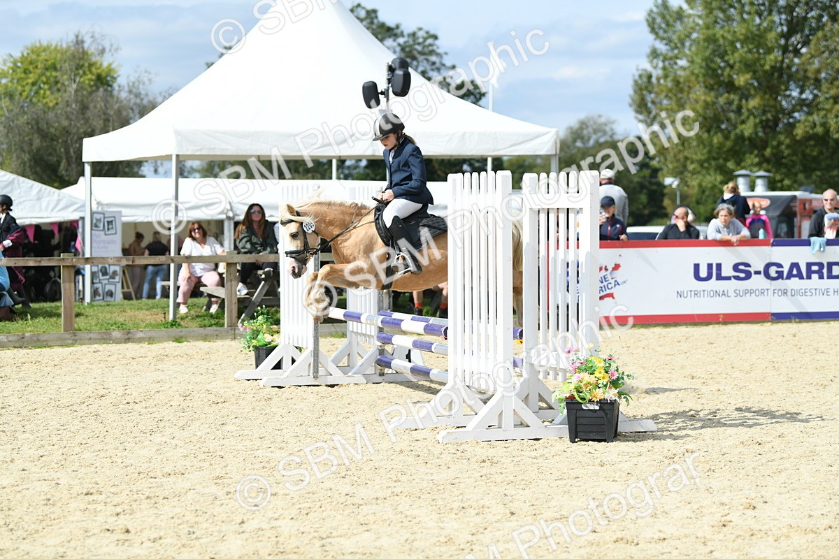SBM_64643 - J48 - Pairs Jumping Open 70cm & 85cm