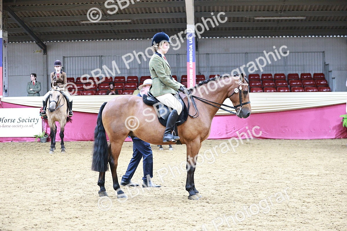 SBM_03539 - Class 6A Area Ridden Pre-Vet