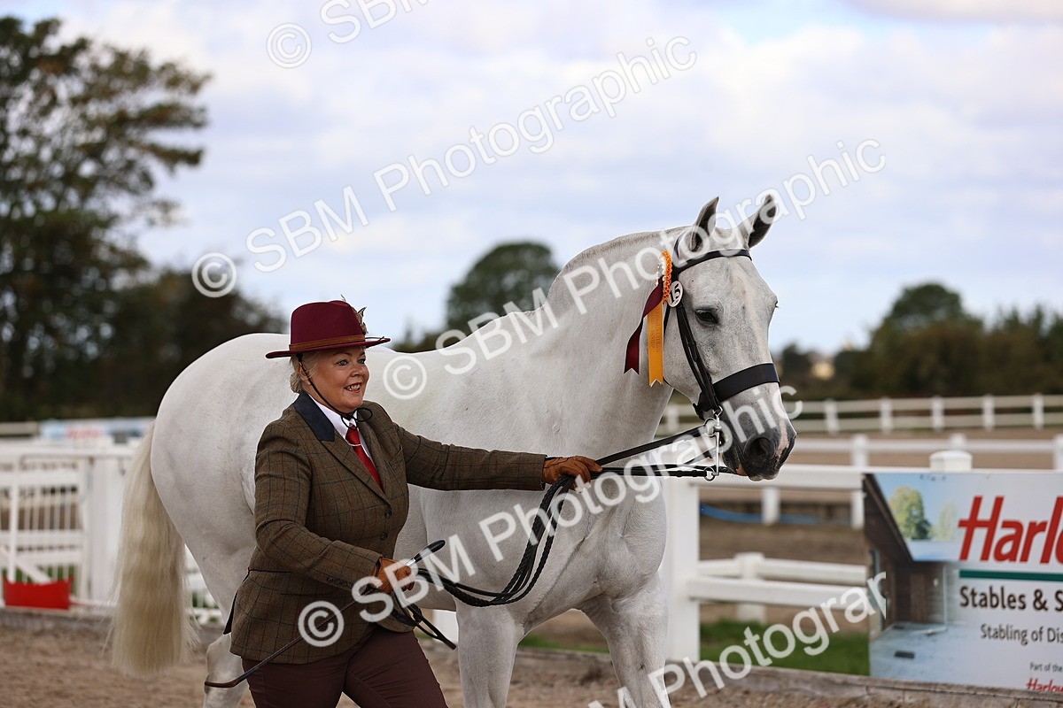 SBM_10410 - Class 405 - IH Show Cob