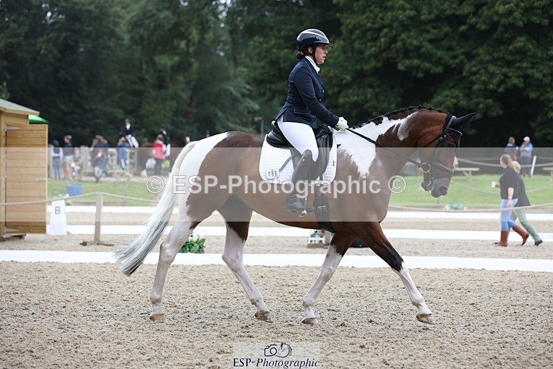 230812-102920-03231 - Cls 5 Novice Bronze Start to 10.55 break