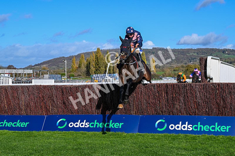 241025-Race 2-Alnilam-2592 - Race 2