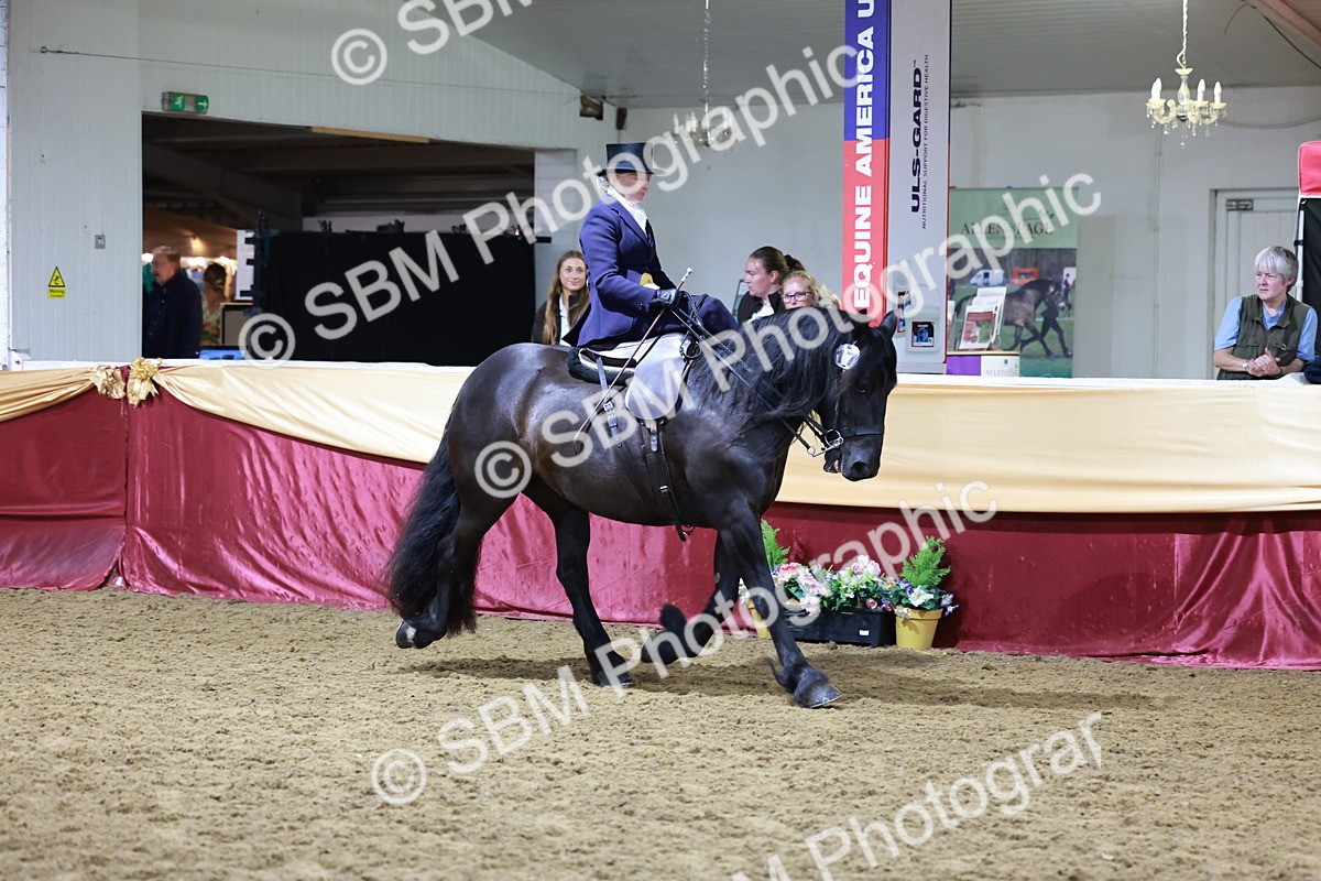 SBM_20954 - Class N - Side Saddle Champ