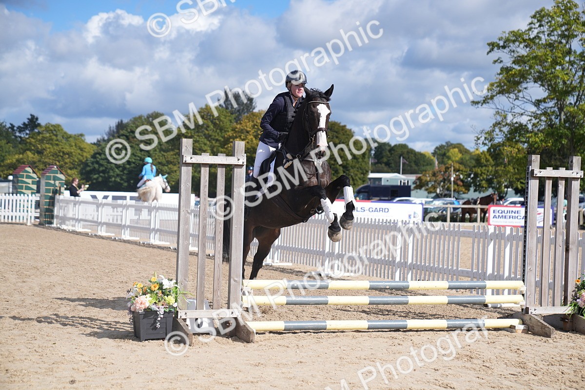 SBM_02542 - J54 Clear Round 45cm