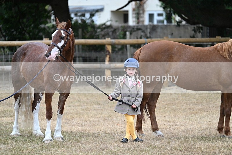 WJ7_8530 - Class 4 Prettiest Mare up to 14.2hh