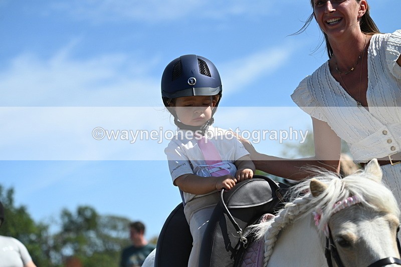 WJ7_1252 - Class 41 Prettiest Mare