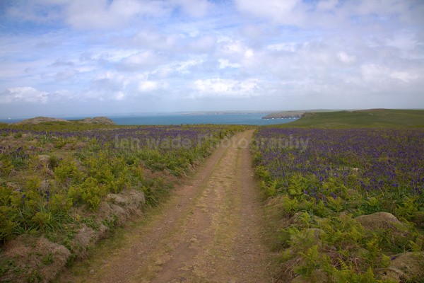  - Welsh wildlife and landscapes