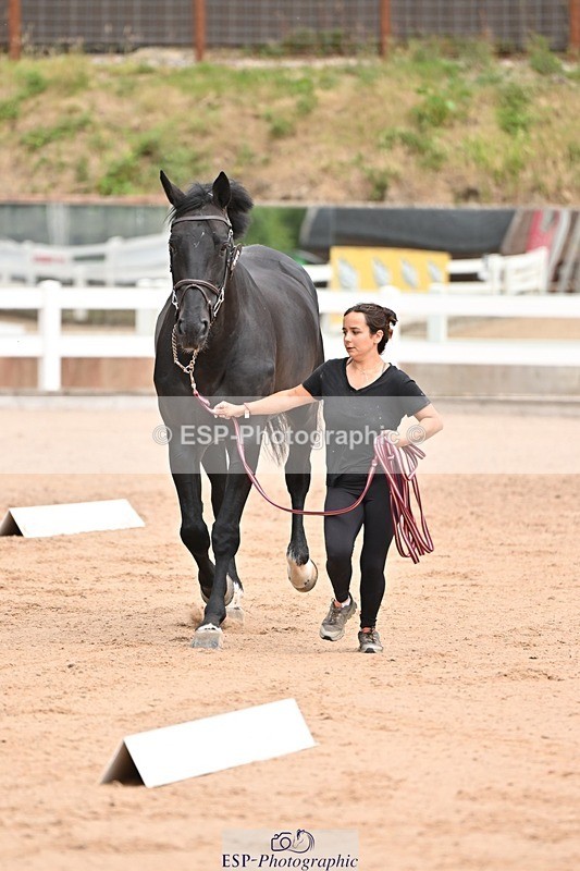 250716-150936-01700 - Trot Up 2.30 to 3.30