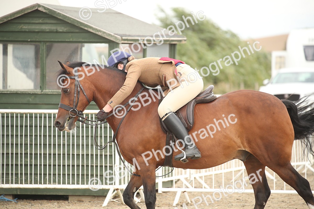 SBM_17649 - Class 508a - Working Veteran 70cm (15-19)