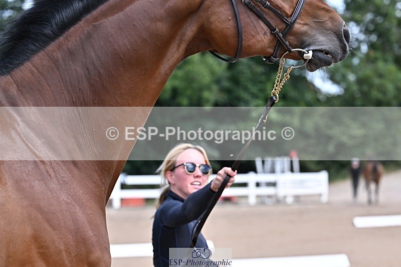 250716-124211-00122 - Trot Up 12.30 to 1.30