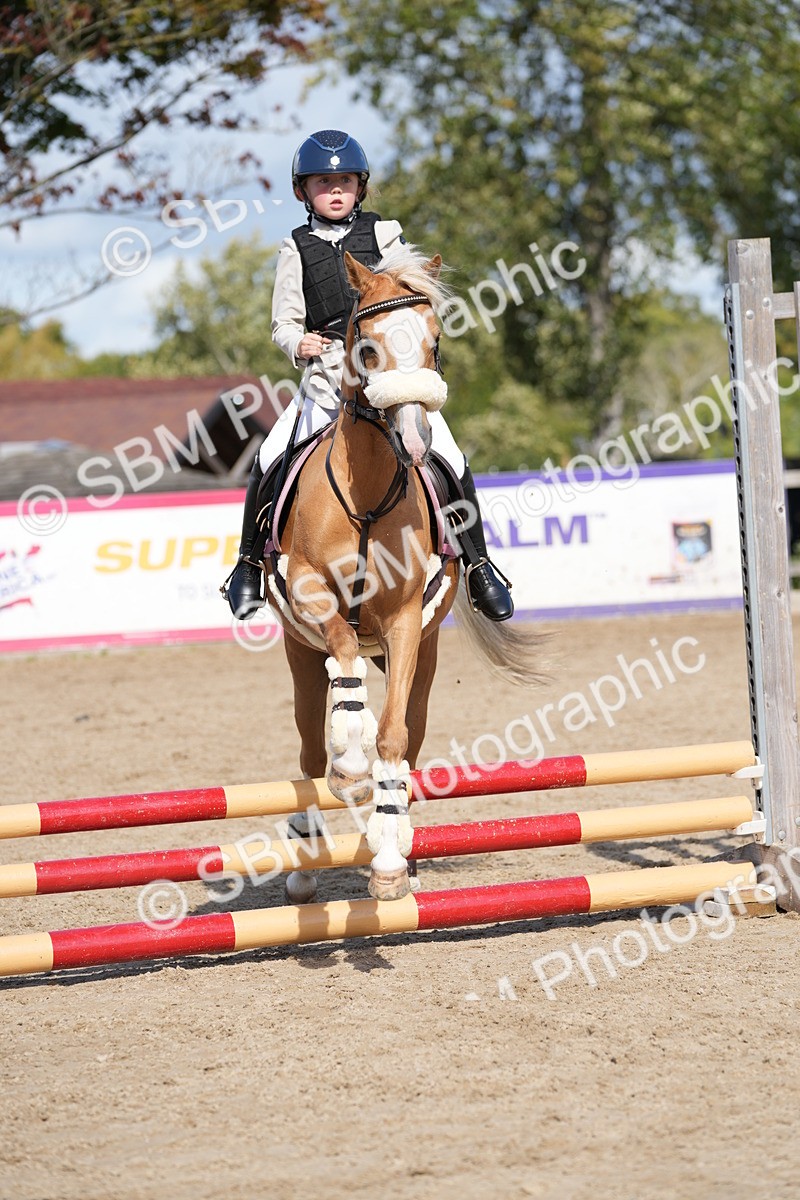 SBM_18158 - J58 - Clear Round 50cm