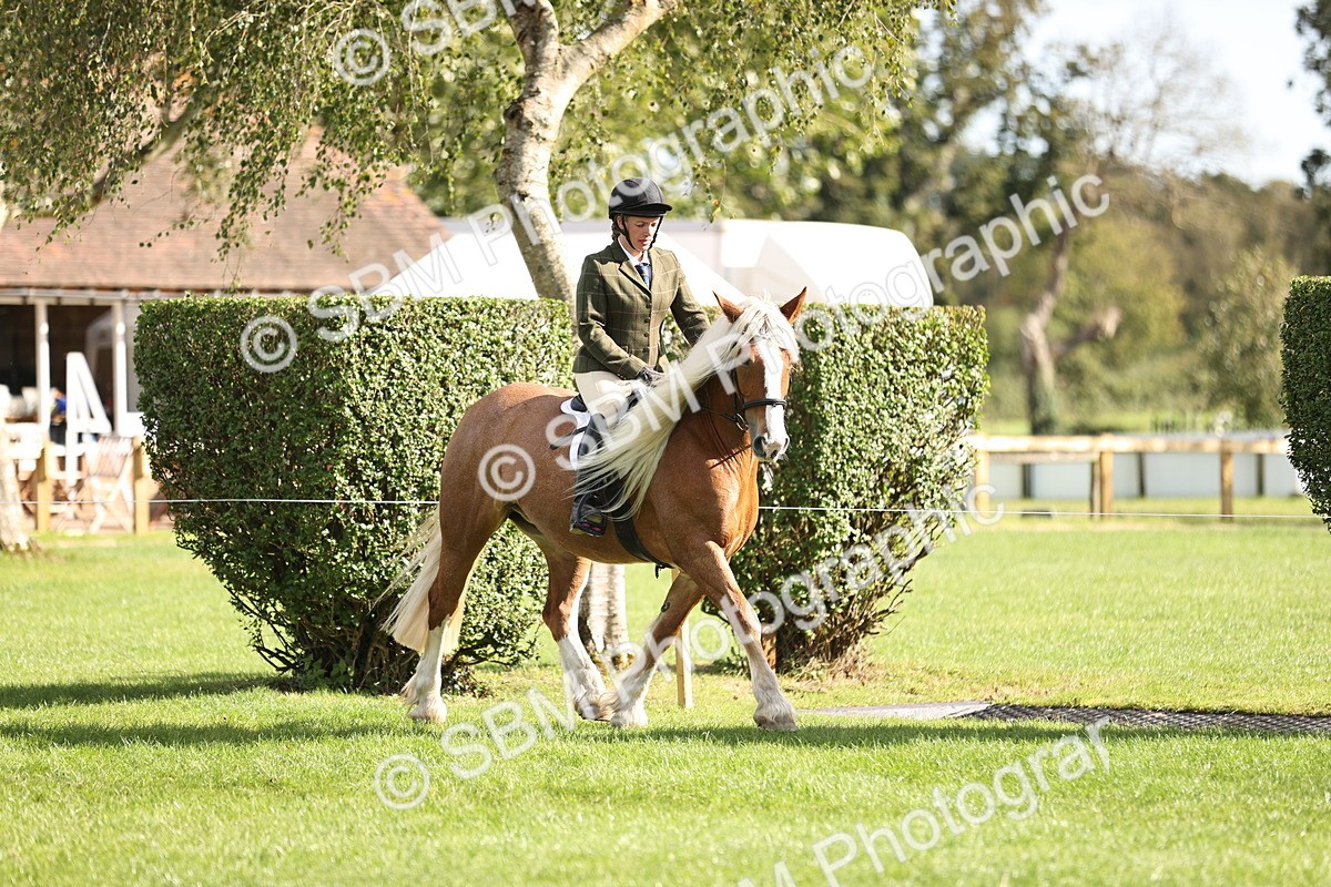 SBM_26354 - S6 - Novice & Newcomers Ridden Horse