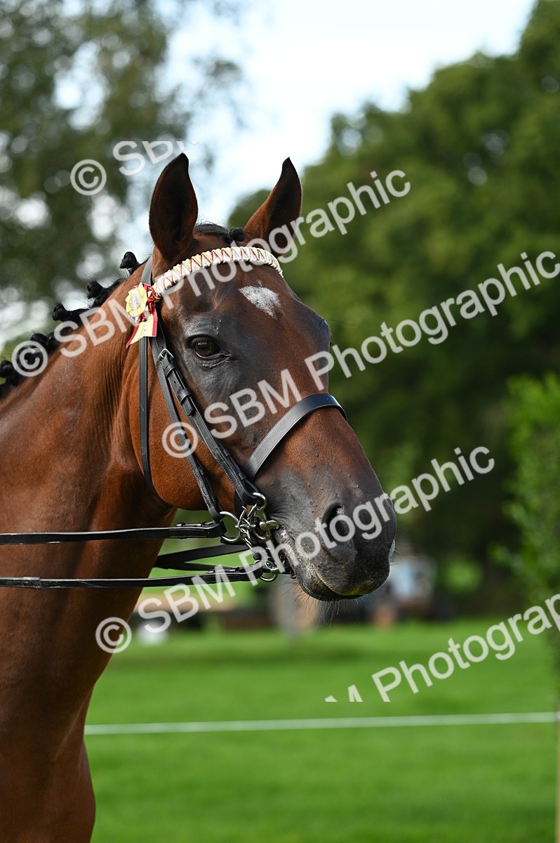 SBM_02055 - S2 - TSR Ridden Horse Showing