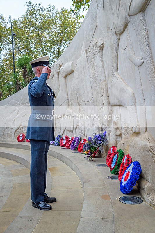 NGP_8246 - 2024 Animals in War Remembrance Gathering