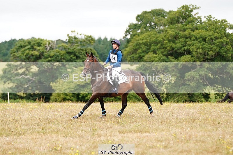 250803A-112026-11406 - K-464-Tamsin.Howard-HALAVELI