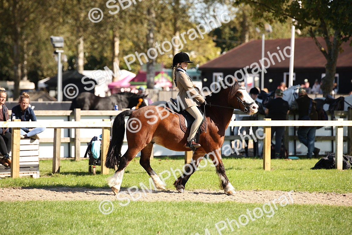 SBM_39026 - S11 - Best Ridden Horse & Pony