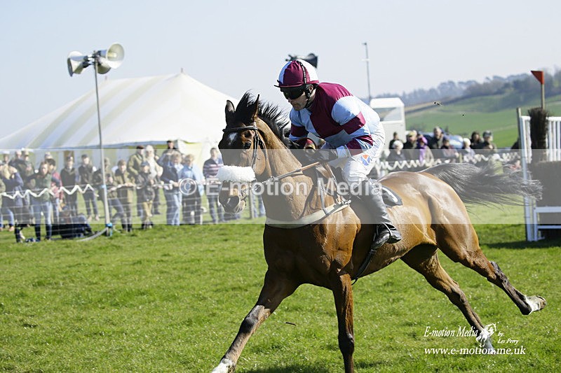 PtP 190322 505 - Wilton Hunt PtP Milborne St Andrew 19/03/22