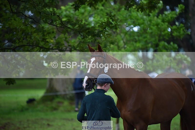 240522-164724-01157 - 221-LAGANS_RICE_STAR-Oliver_Thompson