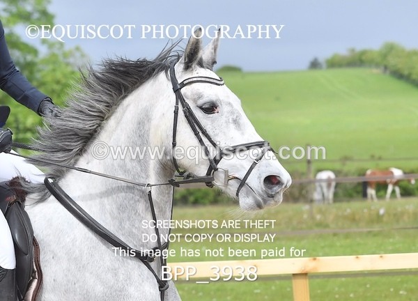 BPP_3938 - CLASS 2  Club/ Unaffiliated 80cms Open