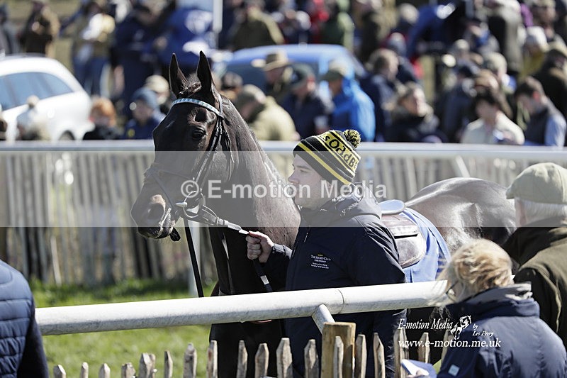 PtP 100423 572 - Old Berkshire Point-to-Point Lockinge 10/04/23