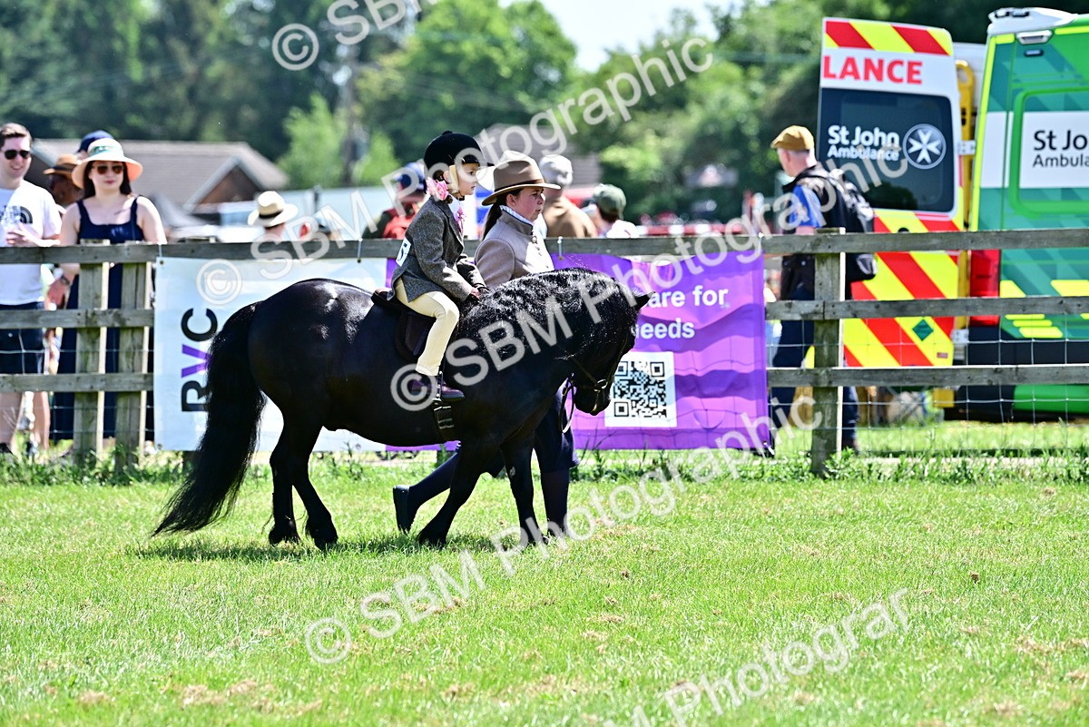 SBM_05764 - Class 59-60 - TSR M&M  Lear Rein and First Ridden Amateur of the year