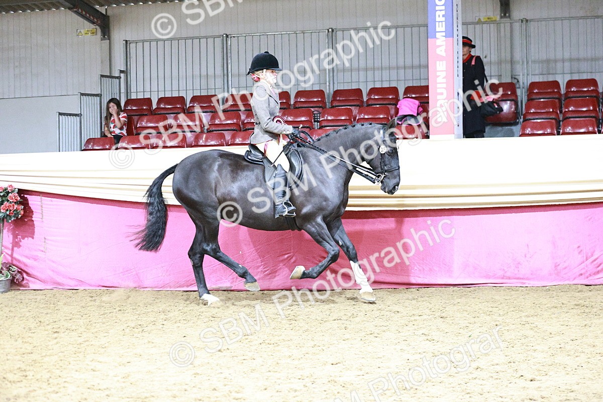 SBM_07302 - Class 10R - Regional Ridden Diamond