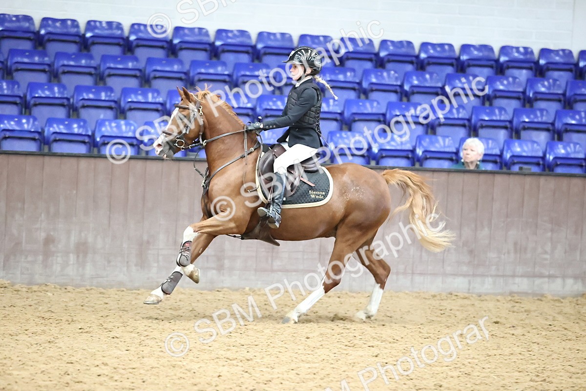 SBM_001182 - Class 3 - Springboard 128cm 138cm Restricted handicap 85cm 95cm