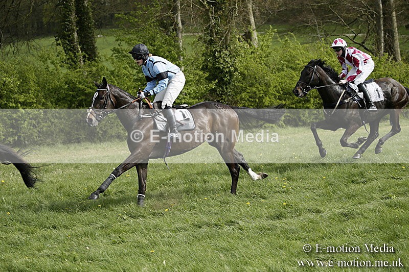 PtP 170417 301 - Old Berks Point-to-Point Lockinge 17/04/17