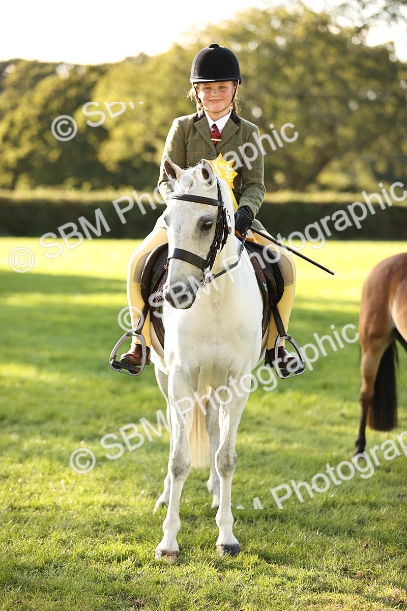 SBM_29491 - S7 - Novice & Newcomers Ridden Pony