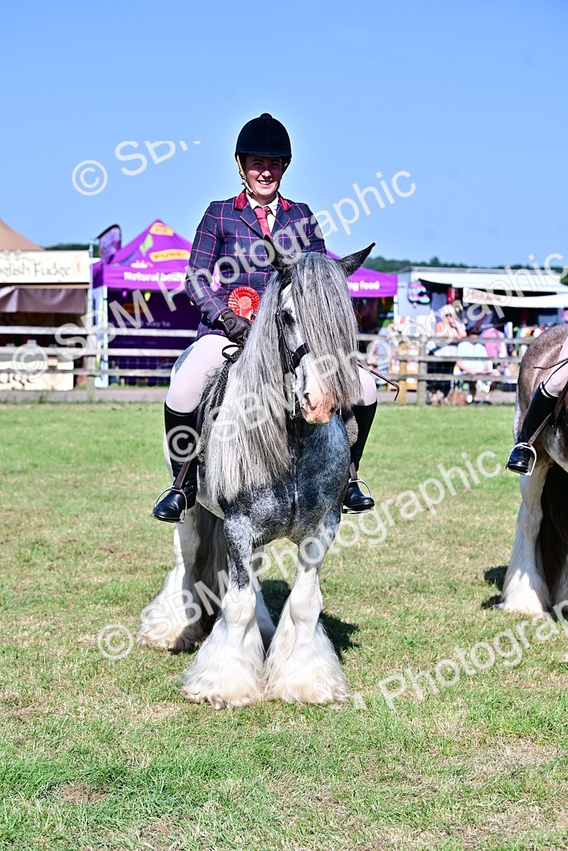 SBM_19459 - Class 101-102 - BSPS LIHS Performance Coloured Horse/Pony