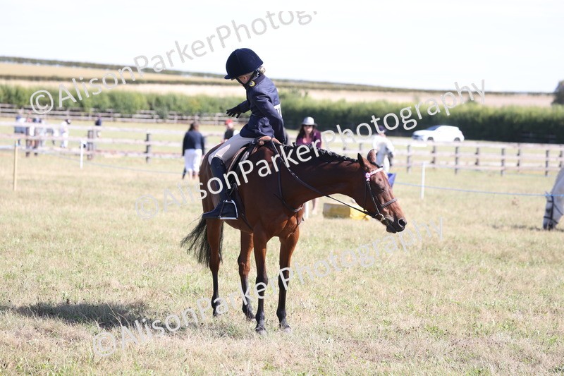 20260906-2252 - Class 16 - Family Pony