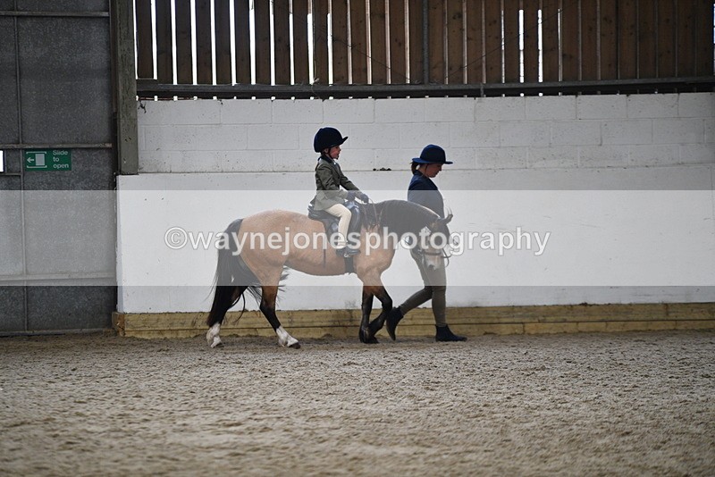 WJ5_6584 - Class 10 Childs Pony