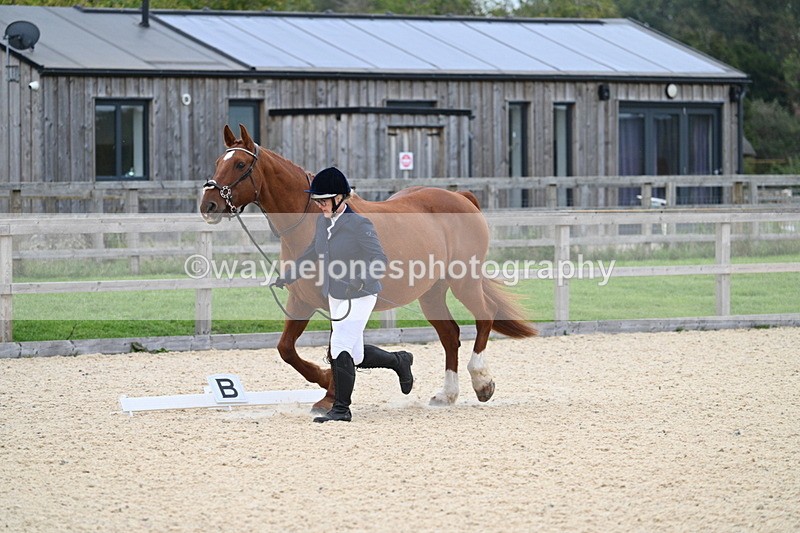 WJ7_1819 - Class 1 & Champs