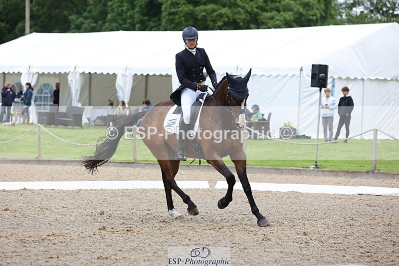 240523-104354-03391 - 214-DSH_GOLDEN_EYE-Lucinda_Mesquita