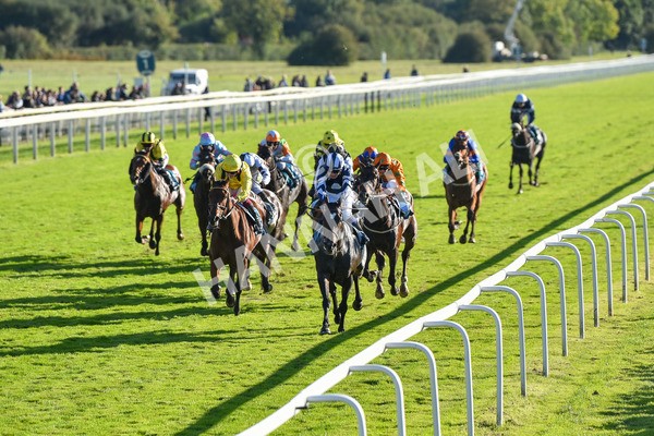 141023-Race 5-Certain Lad-1333 - Race 5 3.35pm Coral Racing Bet Bundles Handicap