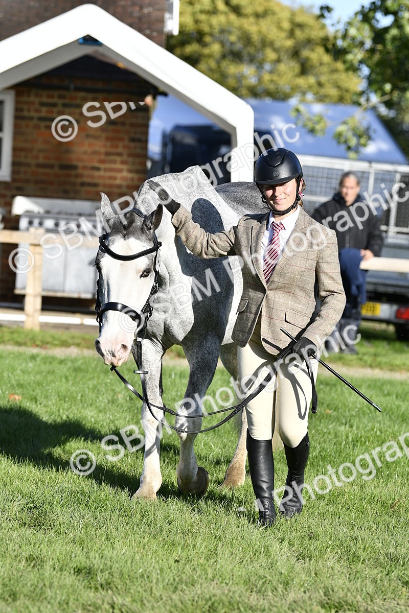 SBM_52244 - S35 - Working Hunter & Working Show Horse