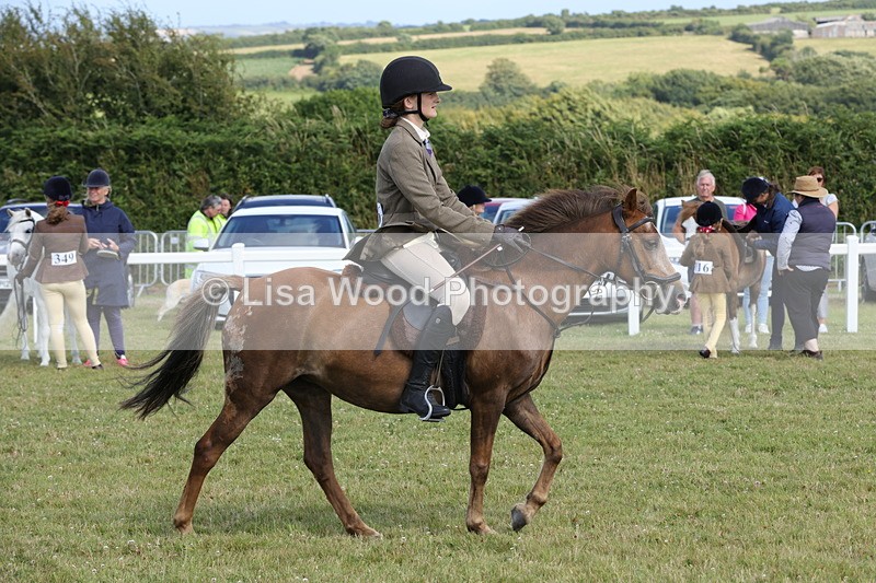 1X9A5789 - Class 40: NPS Welsh A & B