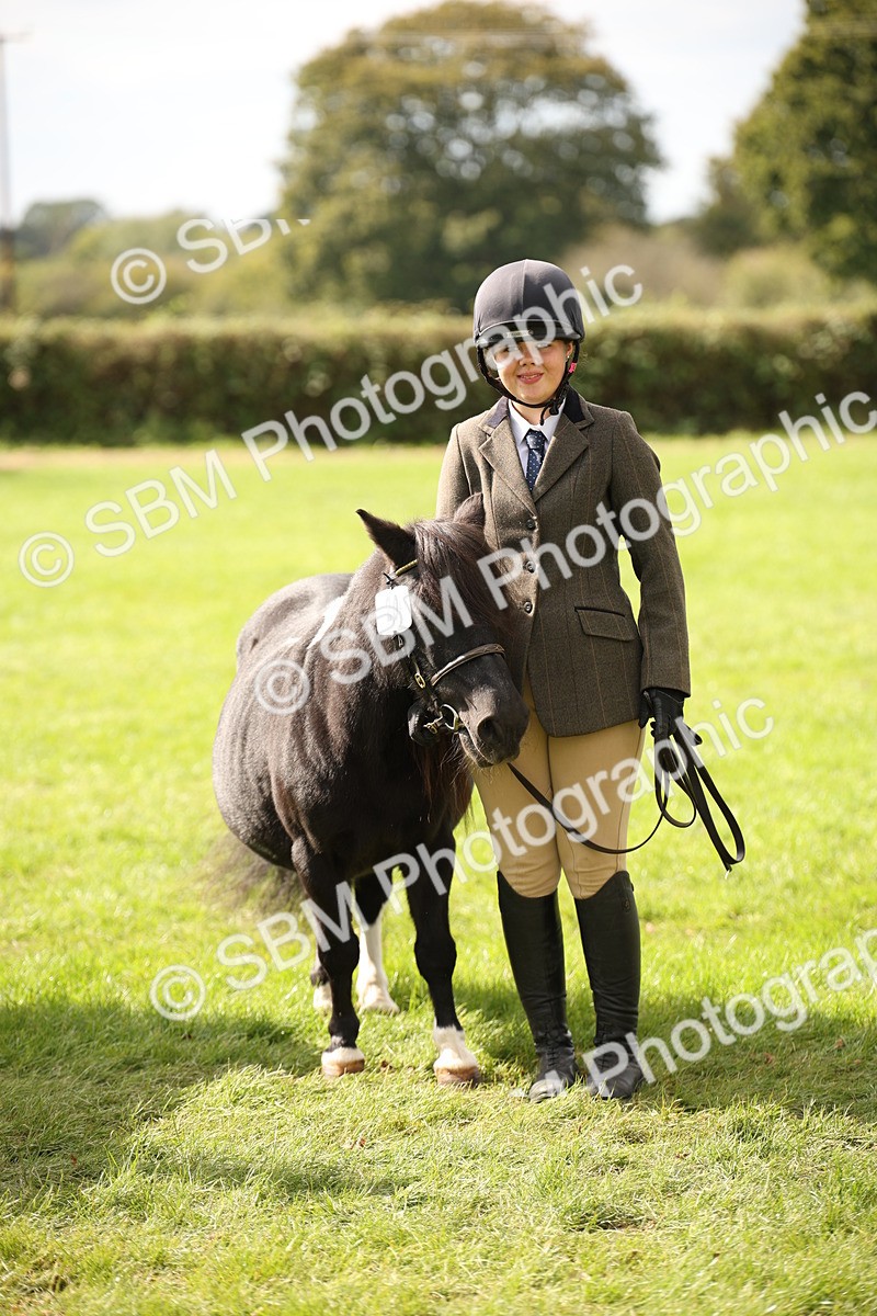 SBM_46406 - S25 - Mature Veteran In Hand