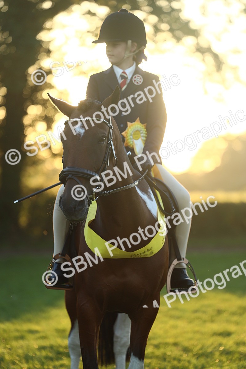 SBM_56662 - Fun & Versatile Supreme Championship