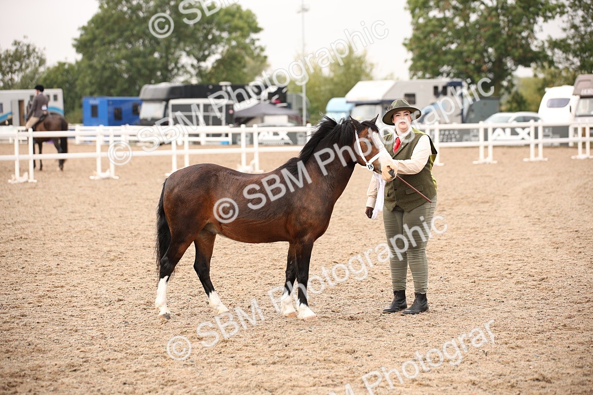 SBM_21444 - Class 706 - IH  Veteran