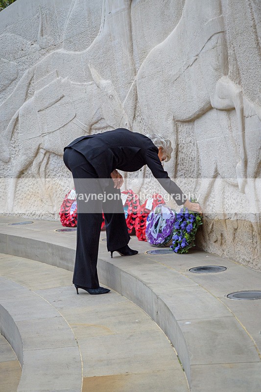 NGP_8216 - 2024 Animals in War Remembrance Gathering