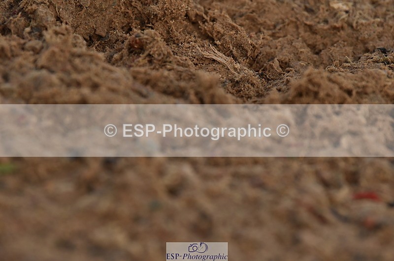 231104A-114502-01587 - Cls 5 Novice 37A